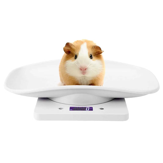 Digital Pet Scale Accurately Weigh 10kg/1g Small Pet Weight Scale for Cats Dogs Measure Tool Electronic Kitchen Scale